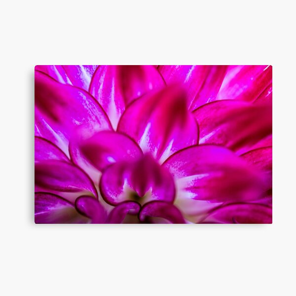 Item preview, Dahlia macro  designed and sold by Prince of Nature.