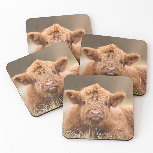 Item preview, Meet the Adorable Highland Calf designed and sold by MarvinVHPhoto.