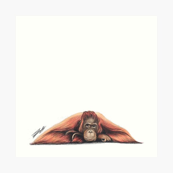Bornean Orangutan Art Print
