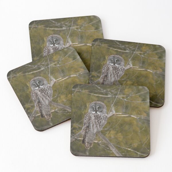 Item preview, Great gray owl designed and sold by locustgirl.
