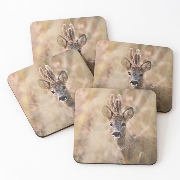 Item preview, Fluffy Antlers: Roe Deer in the Reeds designed and sold by MarvinVHPhoto.