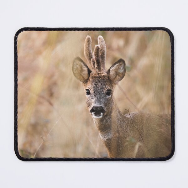 Item preview, Fluffy Antlers: Roe Deer in the Reeds designed and sold by MarvinVHPhoto.