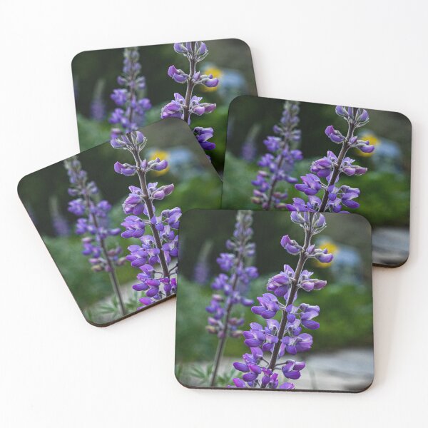 Item preview, Beauty in Focus designed and sold by Gnomadic Gnomes Productions.