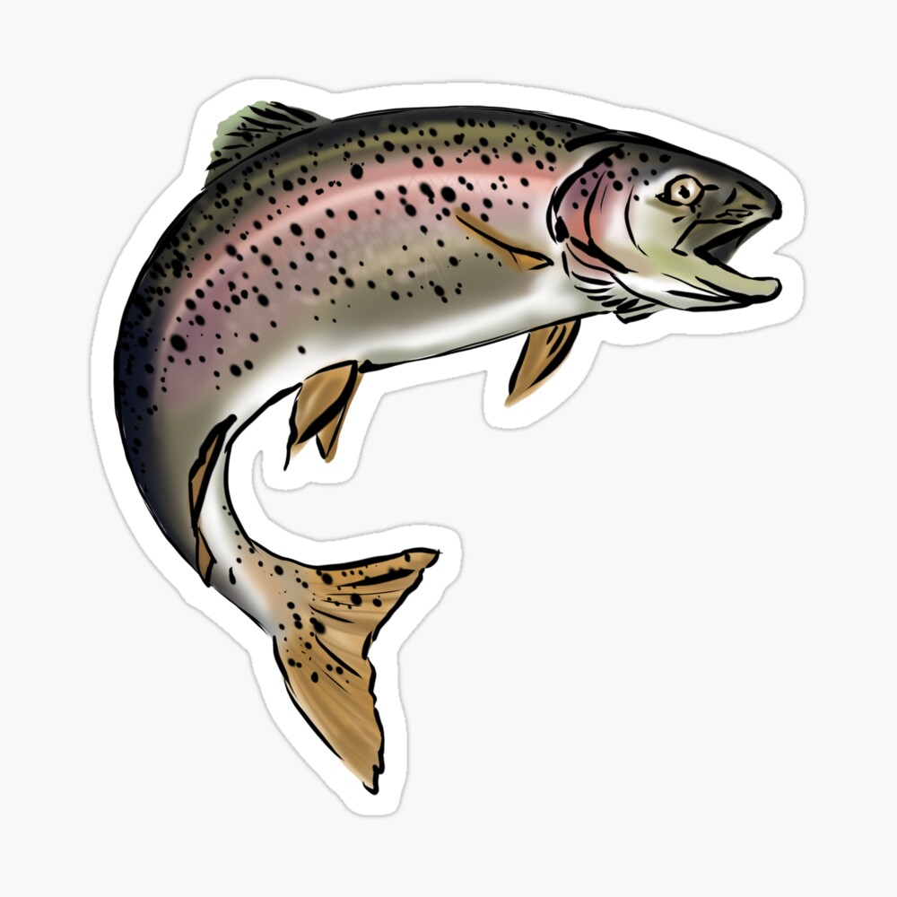 Trout iPhone Case by Sibo Miller