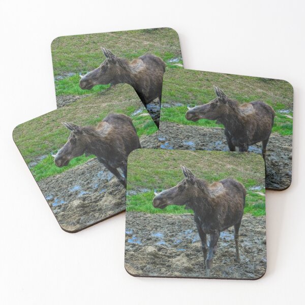 Item preview, Mother Moose designed and sold by Gnomadic Gnomes Productions.