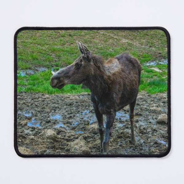 Item preview, Mother Moose designed and sold by Gnomadic Gnomes Productions.