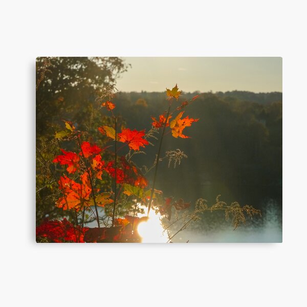 Item preview, Fall Sunset designed and sold by Gnomadic Gnomes Productions.