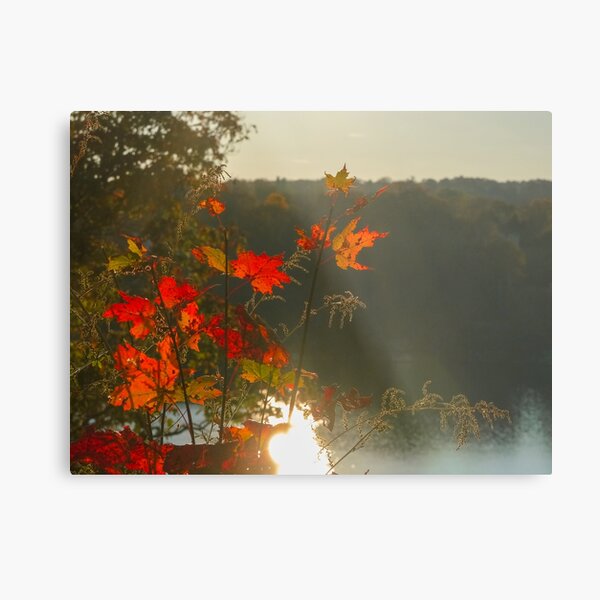 Item preview, Fall Sunset designed and sold by Gnomadic Gnomes Productions.