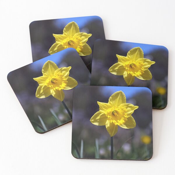Item preview, Solitary Daffodil designed and sold by Tom McPherson Photography.