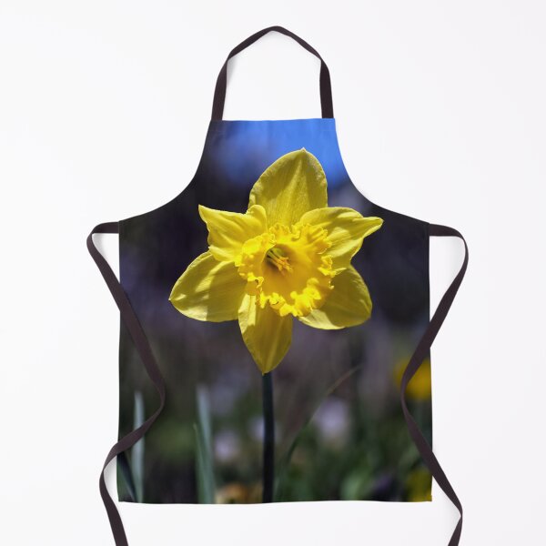 Item preview, Solitary Daffodil designed and sold by Tom McPherson Photography.