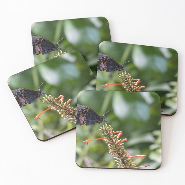 Item preview, Ruby-Spotted Swallowtail in Washington DC designed and sold by jrtwynam.