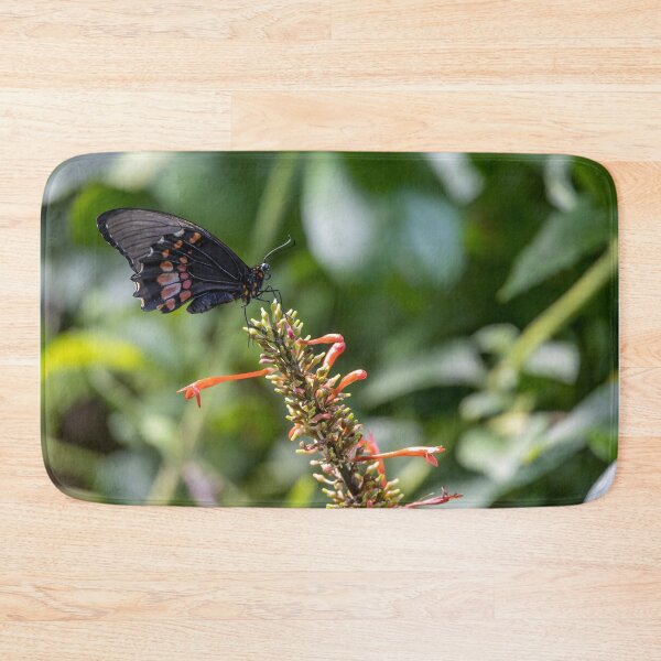 Item preview, Ruby-Spotted Swallowtail in Washington DC designed and sold by jrtwynam.