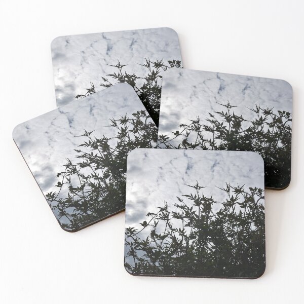Item preview, Jasmine against a cloudy sky designed and sold by paulboizot.