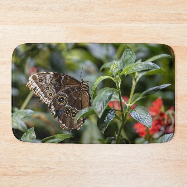 Item preview, Morpho Butterfly at Smithsonian designed and sold by jrtwynam.