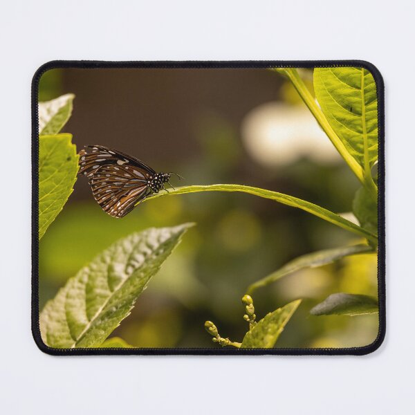 Item preview, Dark Glassy Tiger in Botanical Harmony designed and sold by jrtwynam.