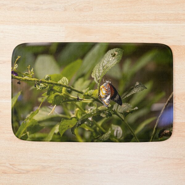 Item preview, Leopard Lacewing Butterfly Display designed and sold by jrtwynam.