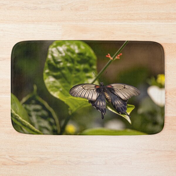 Item preview, Papilio Memnon at Smithsonian designed and sold by jrtwynam.