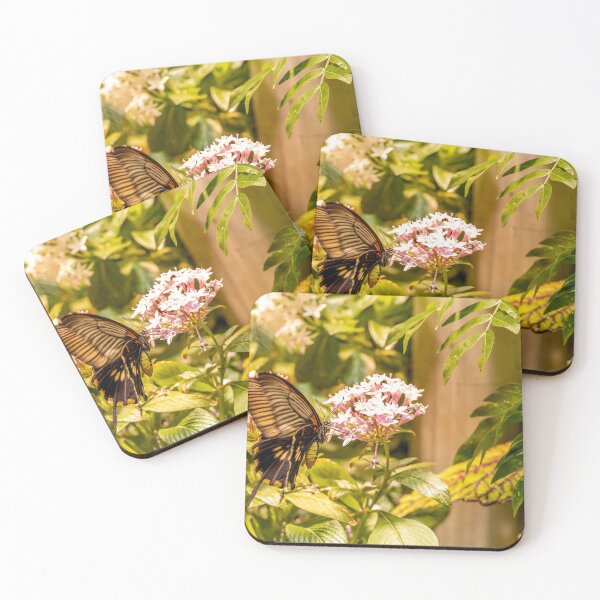 Item preview, Spangle Butterfly at Smithsonian, Washington DC designed and sold by jrtwynam.
