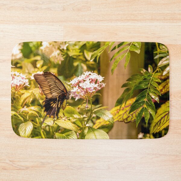 Item preview, Spangle Butterfly at Smithsonian, Washington DC designed and sold by jrtwynam.