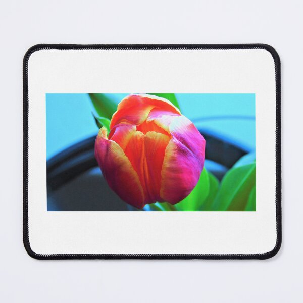 Item preview, Variegated tulip designed and sold by ART22.