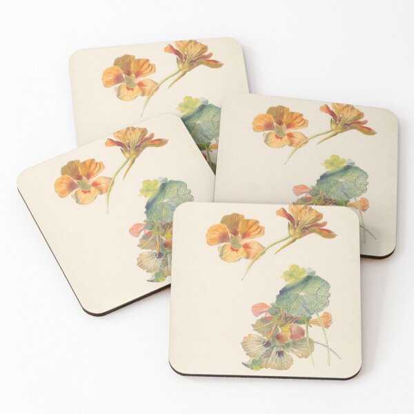 Item preview, Study of nasturtium 1824 - 1900 designed and sold by botanicalworks.