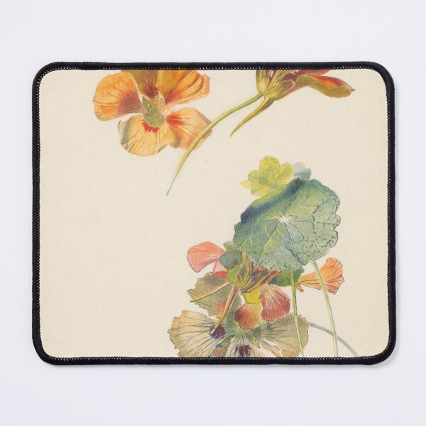Item preview, Study of nasturtium 1824 - 1900 designed and sold by botanicalworks.