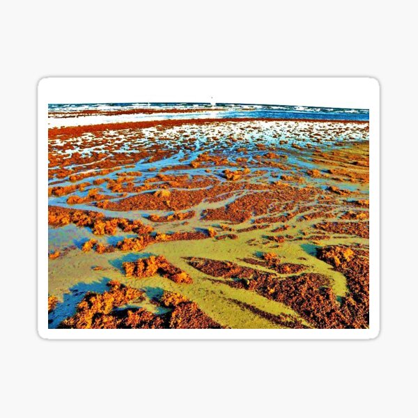 Item preview, Seaweed Gulf Coast designed and sold by The Cat Down the Road.
