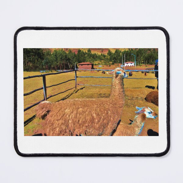 Item preview, Llamas in Peru designed and sold by The Cat Down the Road.