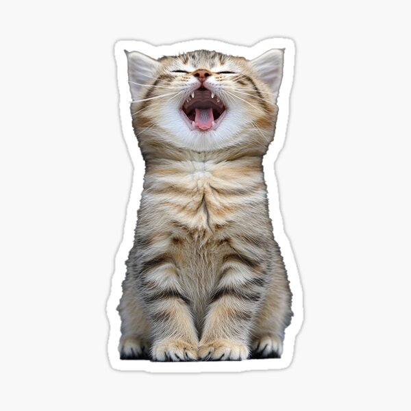 Item preview, Cat laughing designed and sold by Sunray9.