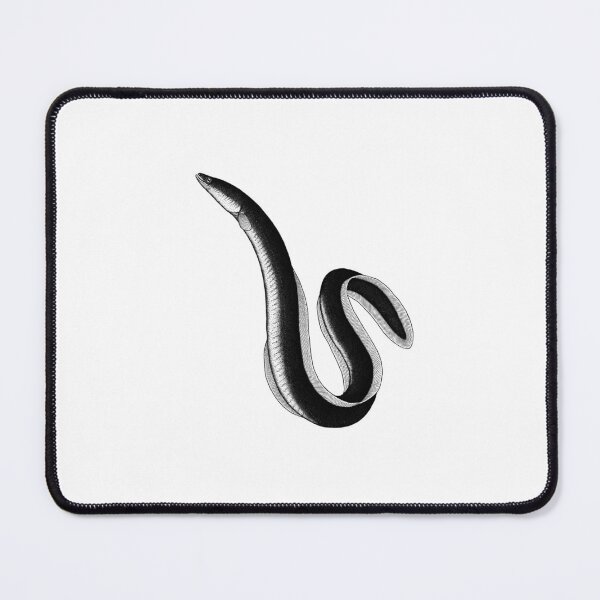Item preview, Eel Illustration designed and sold by rmnicholsart.