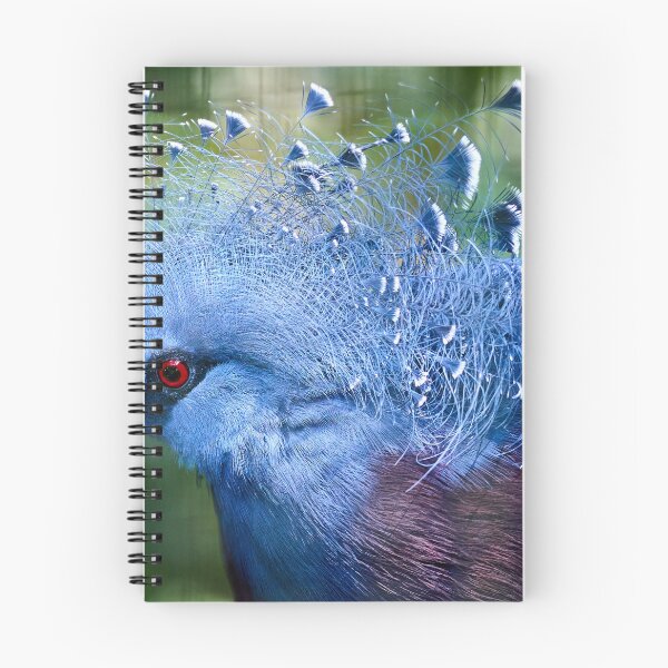 Aperçu de l'œuvre Oiseau bleu aux yeux rouges créée et vendue par lessplay.