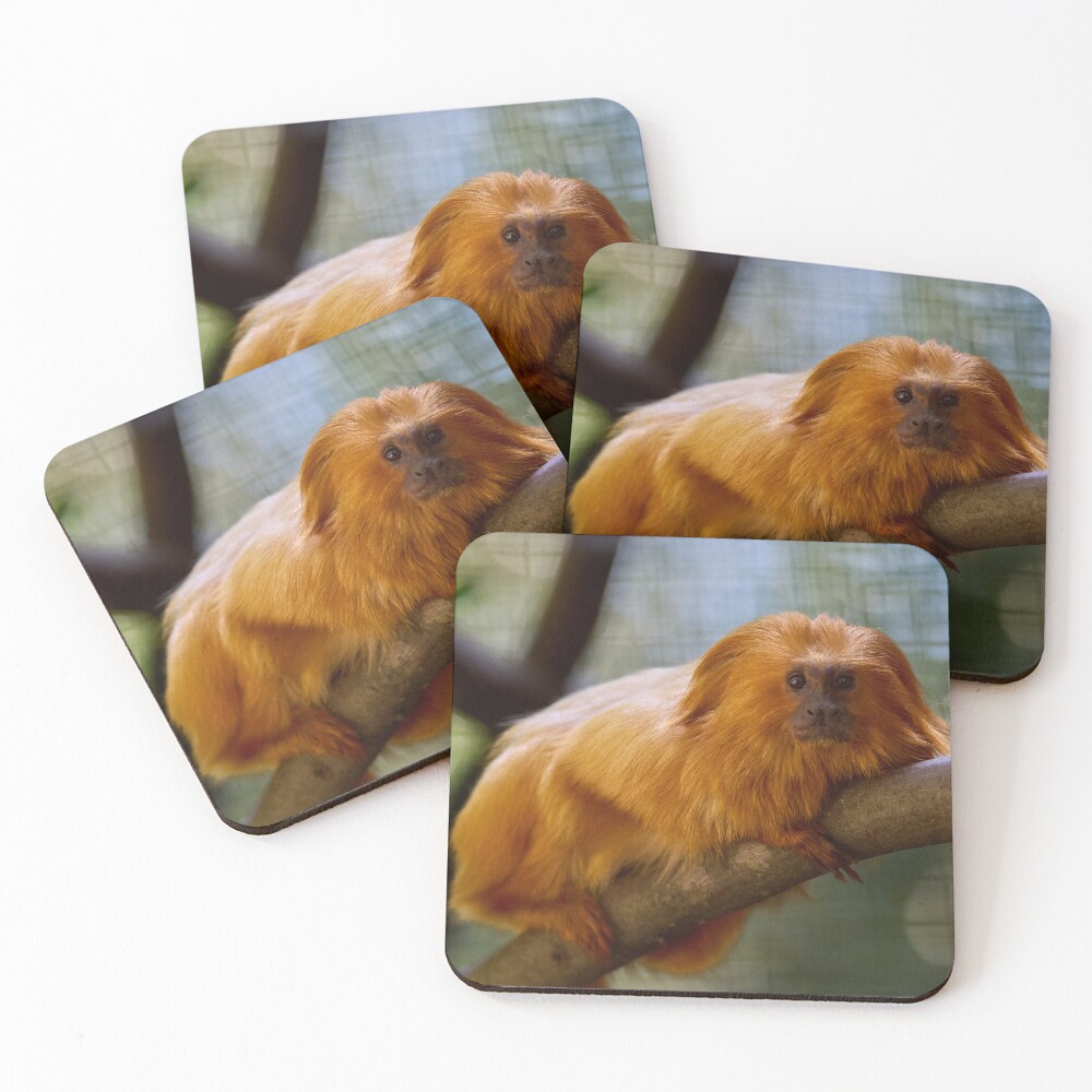 Item preview, Coasters (Set of 4) designed and sold by lessplay.