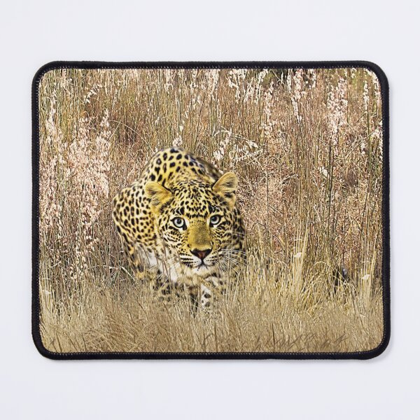 Item preview, Leopard Stalking designed and sold by Fluid Artzworx.
