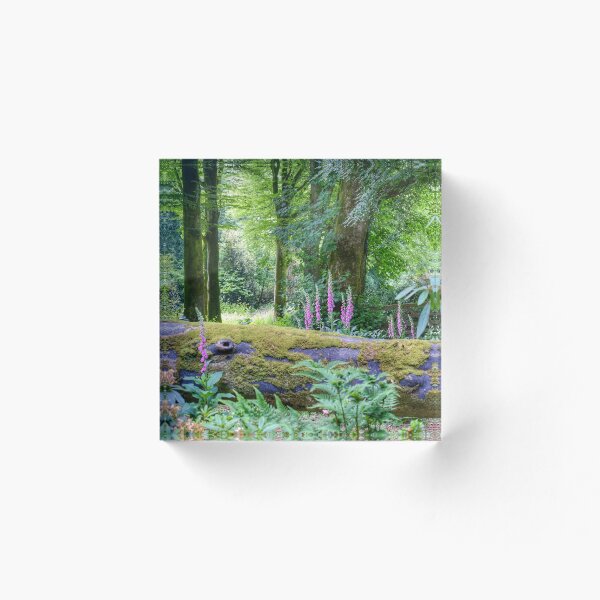 Item preview, "En bosques tranquilos" designed and sold by Richard Couchman.