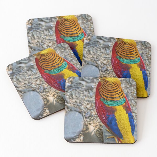 Item preview, Rainbow Pheasant Colorful Bird designed and sold by lessplay.