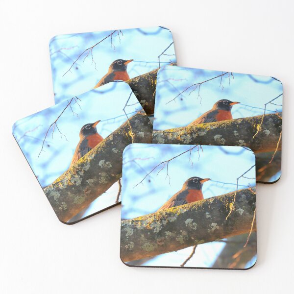 Item preview, Robin designed and sold by Parks and X.
