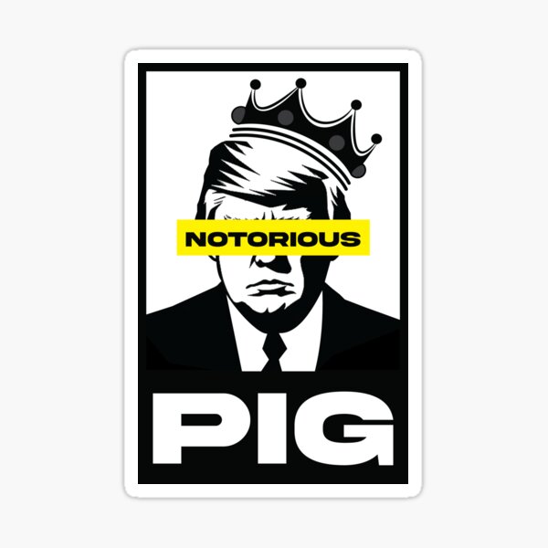 Anti Donald Trump sticker / Magnet Sticker