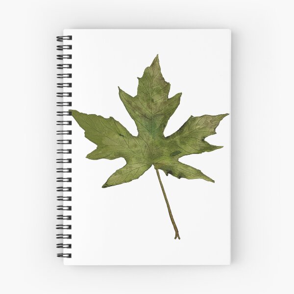 Item preview, Green Maple Leaf designed and sold by Lisa Neuman Watercolors.