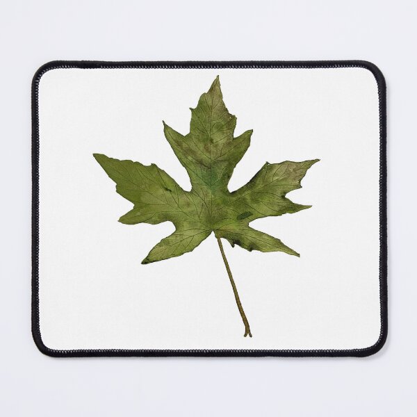 Item preview, Green Maple Leaf designed and sold by Lisa Neuman Watercolors.