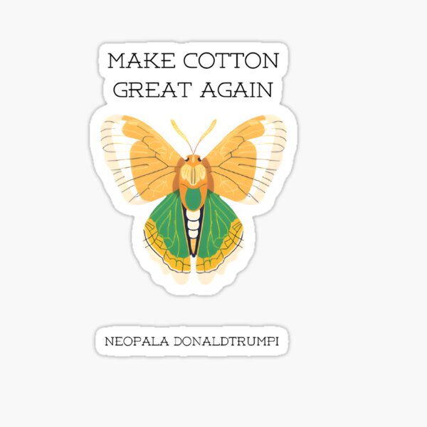 Vista previa del artículo con la obra «Hagamos que el algodón vuelva a ser grandioso», diseñado y vendido por Unworkmanlike Designs.
