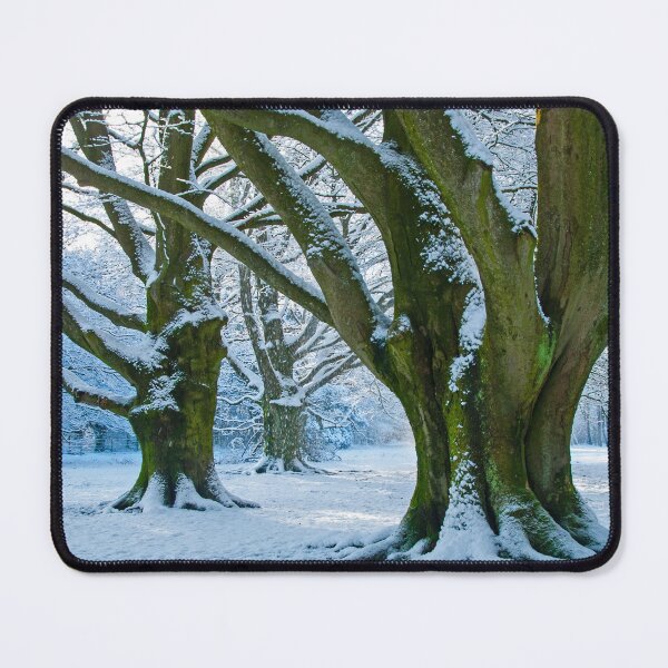Item preview, Winter dreamland, or once when we had snow long ago designed and sold by jchanders.