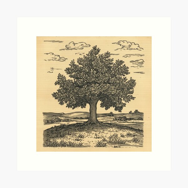 Item preview, Solitary Oak: Rural Serenity woodcut print designed and sold by MVXX.