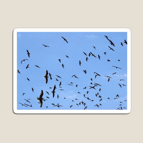 Item preview, Birds Swarm designed and sold by The Cat Down the Road.