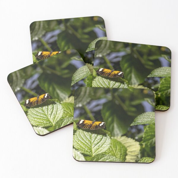 Item preview, Heliconius Xanthocles Butterfly Display designed and sold by jrtwynam.