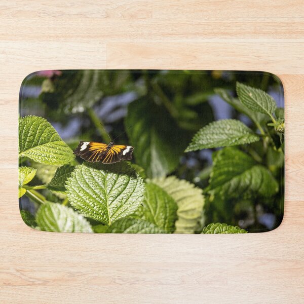 Item preview, Heliconius Xanthocles Butterfly Display designed and sold by jrtwynam.