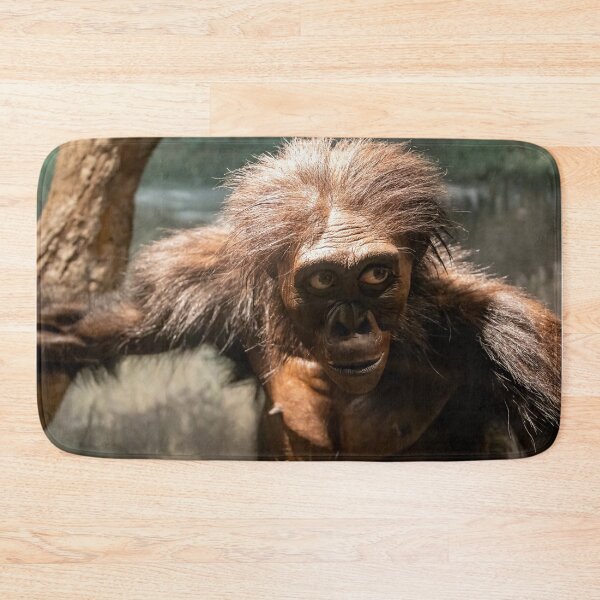 Item preview, Australopithecus afarensis Exhibit designed and sold by jrtwynam.