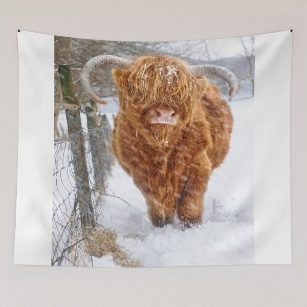 Item preview, Highland cow in the snow designed and sold by Theonebespoke.