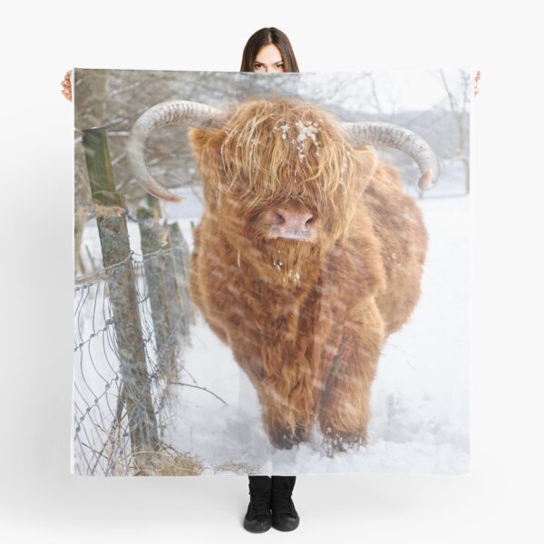 Item preview, Highland cow in the snow designed and sold by Theonebespoke.