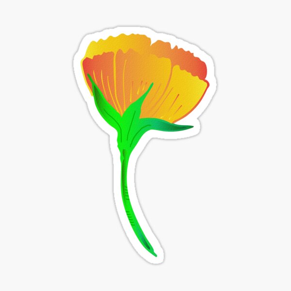 Aperçu de l'œuvre Golden Bloom créée et vendue par VisualisedDesignsNZ.
