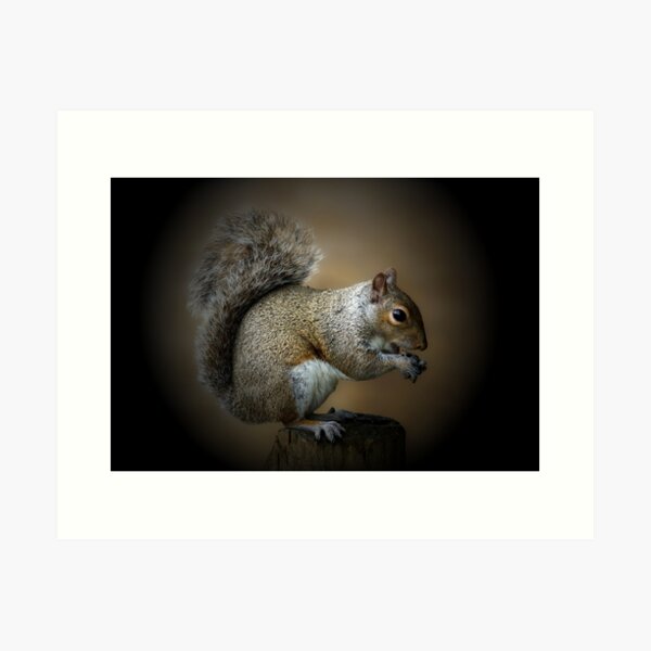 Item preview, The Majestic Squirrel designed and sold by Theonebespoke.